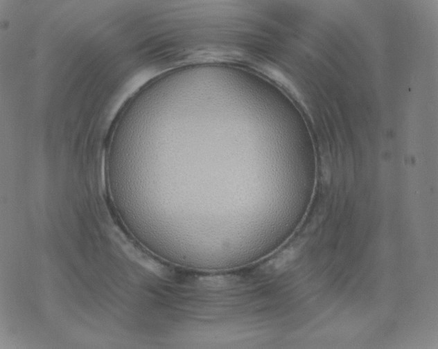 X0000076251227200610122157