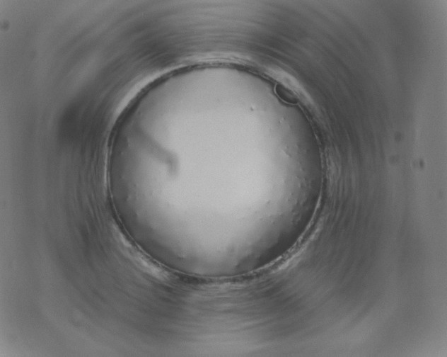 X0000076251228200610122157