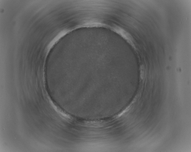 X0000076251229200610122157