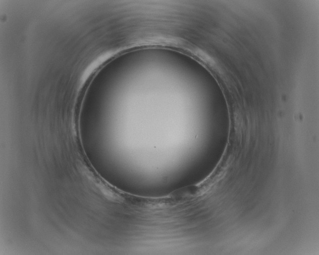 X0000076251230200610122157