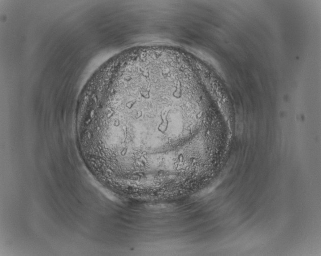 X0000076251231200610122157