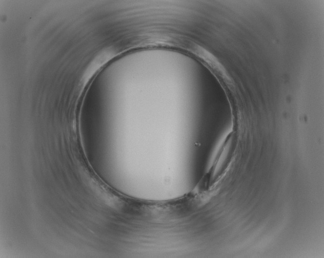 X0000076251234200610122157