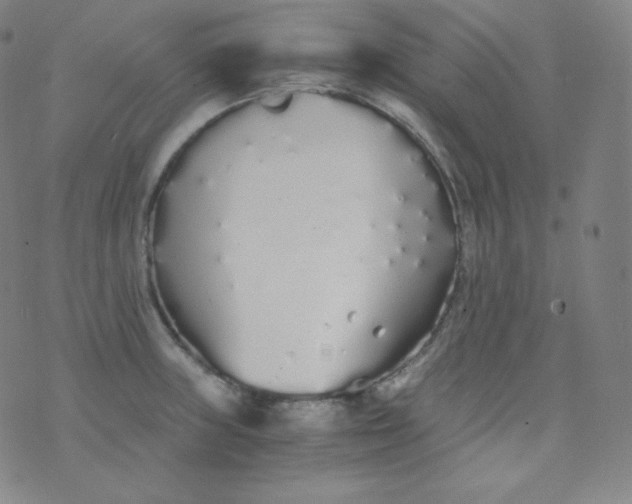 X0000076251235200610122157