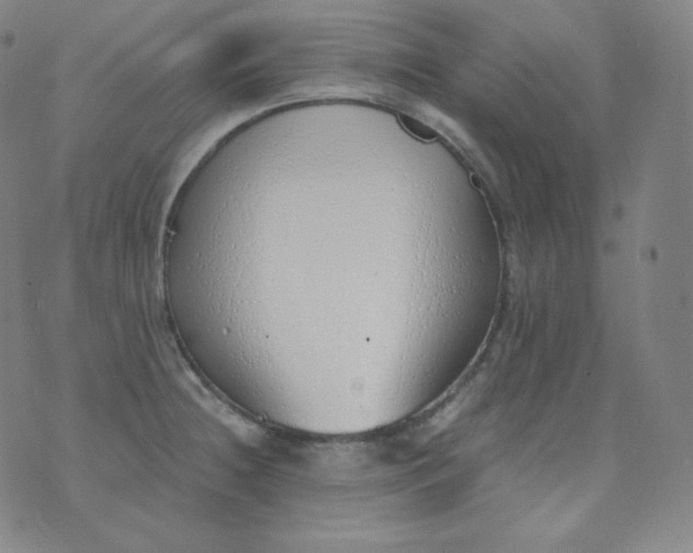 X0000076251236200610122157