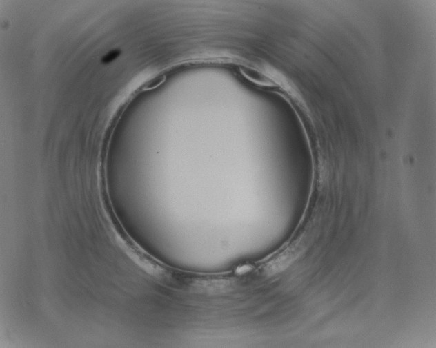 X0000076251237200610122157