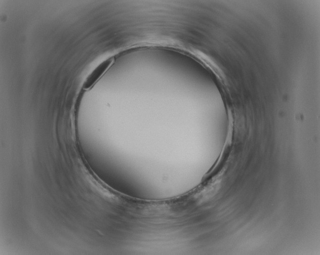 X0000076251238200610122157