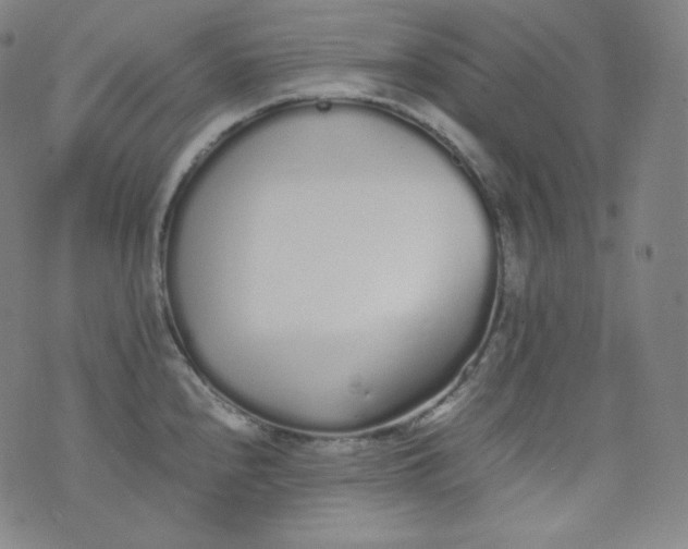 X0000076251240200610122157