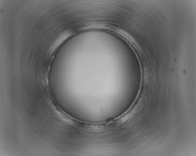 X0000076251241200610122157