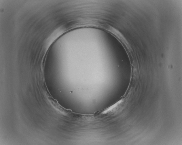 X0000076251242200610122157