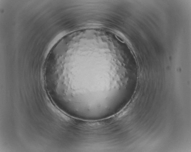 X0000076251243200610122157