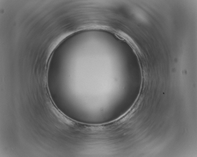 X0000076251244200610122157