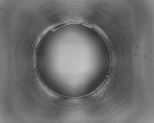 X0000076251246200610122157