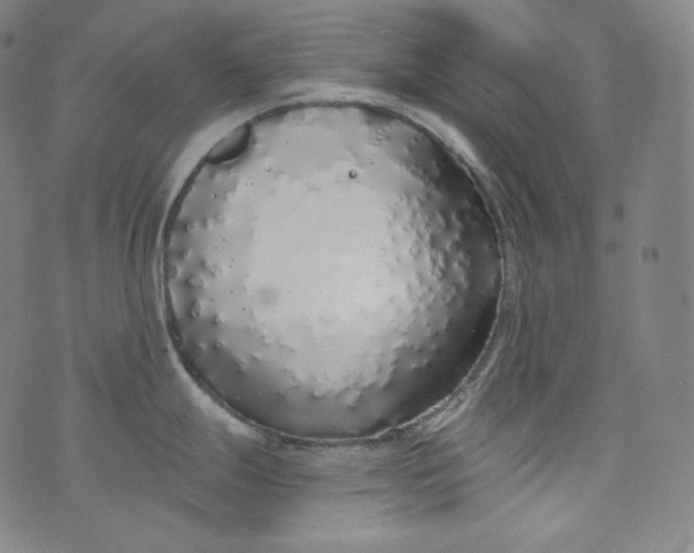 X0000076251247200610122157