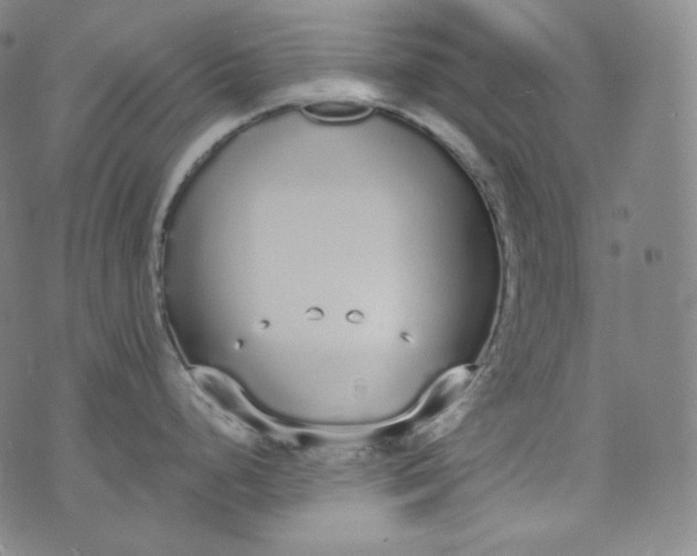 X0000076251248200610122157