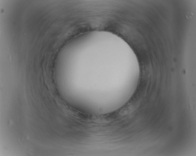 X0000076251249200610122156