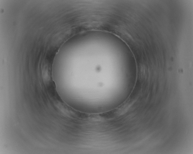 X0000076251250200610122156