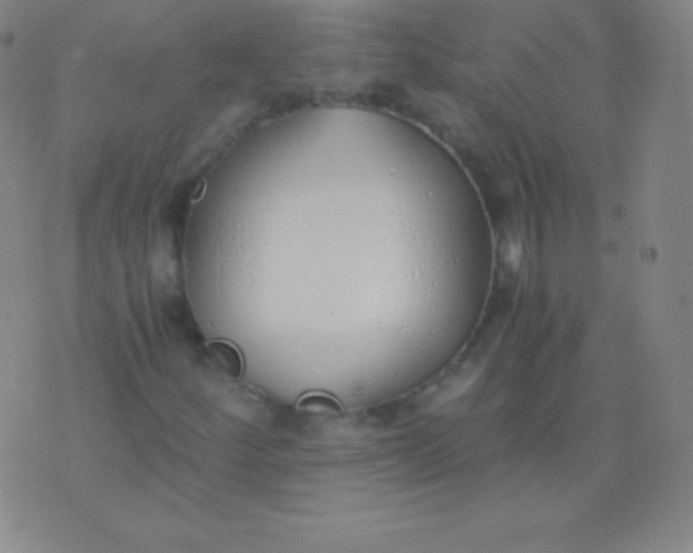 X0000076251252200610122156