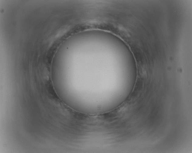 X0000076251253200610122156