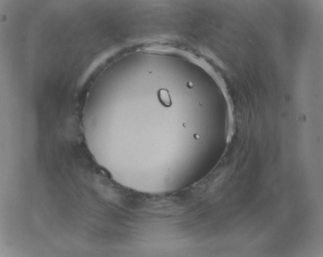 X0000076251256200610122156