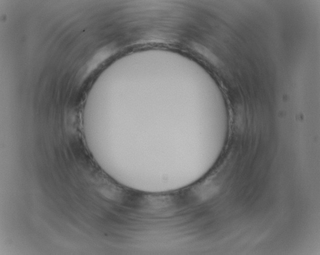 X0000076251258200610122156