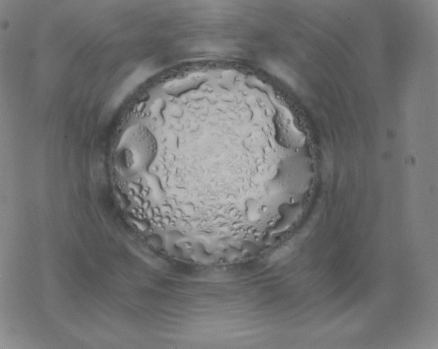 X0000076251259200610122156