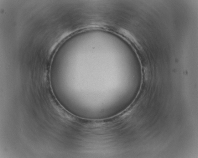 X0000076251260200610122156