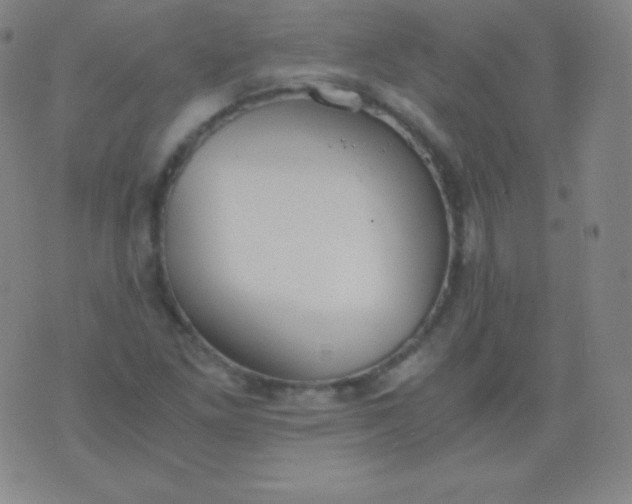 X0000076251261200610122156