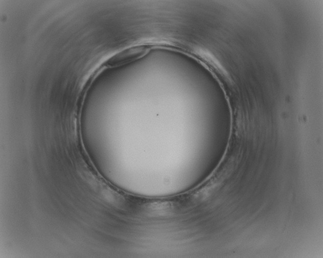 X0000076251268200610122156