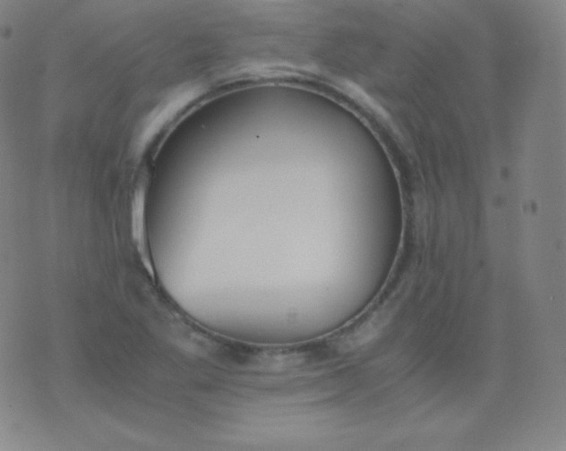 X0000076251269200610122156