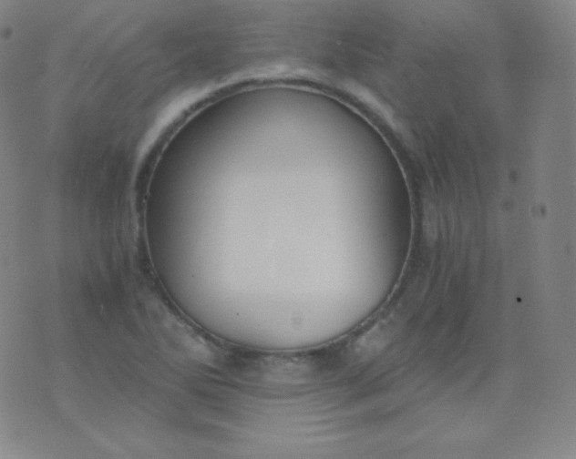 X0000076251270200610122156