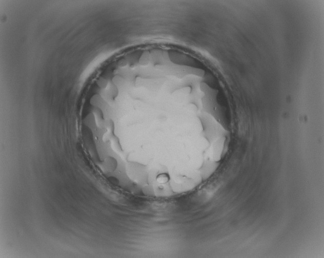 X0000076251271200610122156