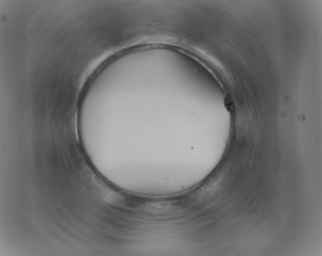 X0000076251272200610122156