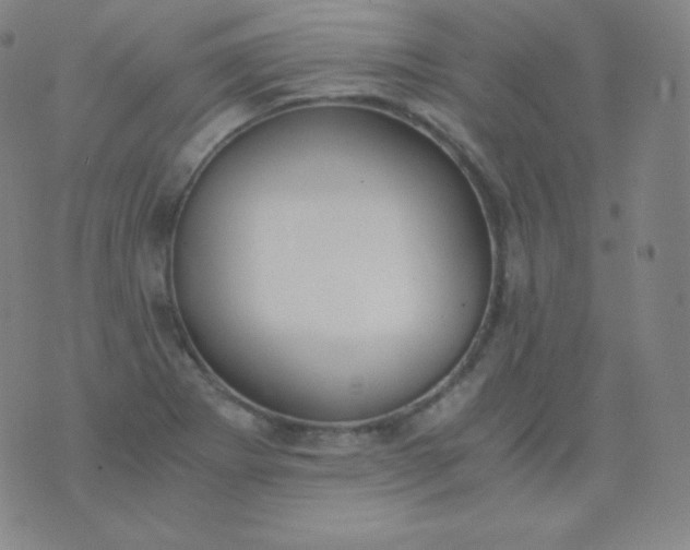 X0000076251273200610122156