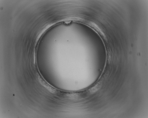 X0000076251276200610122156