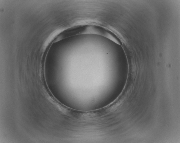 X0000076251277200610122156