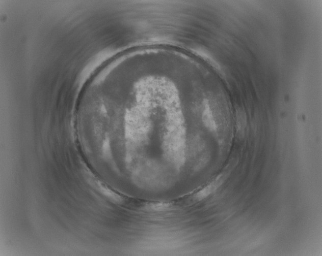 X0000076251278200610122156