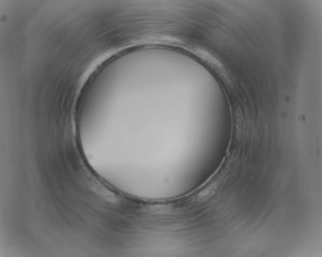 X0000076251280200610122156