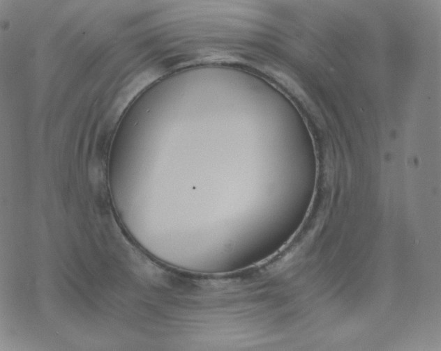 X0000076251281200610122156