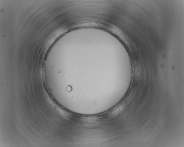 X0000076251282200610122156