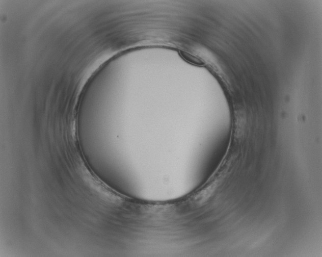 X0000076251284200610122156