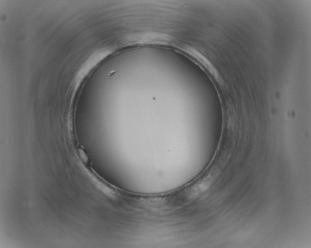 X0000076251285200610122156