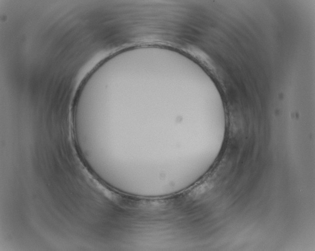 X0000076251286200610122156