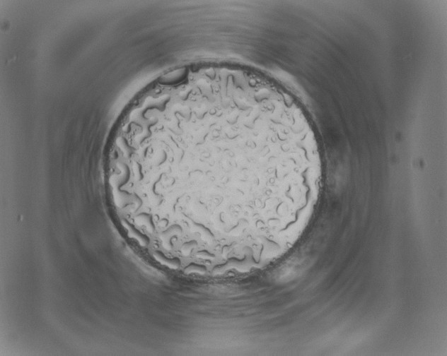 X0000076251287200610122156