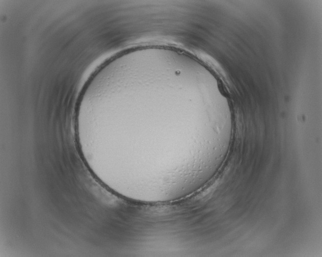 X0000076251288200610122156