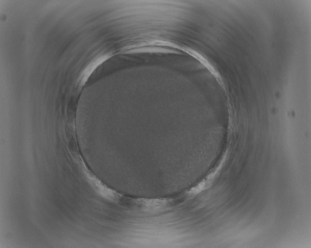 X0000076251289200610122156