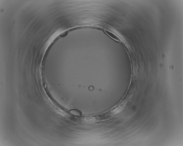 X0000076251291200610122156