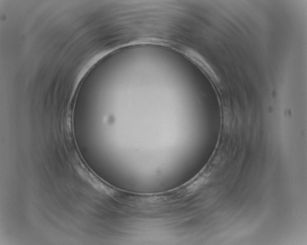 X0000076251292200610122156