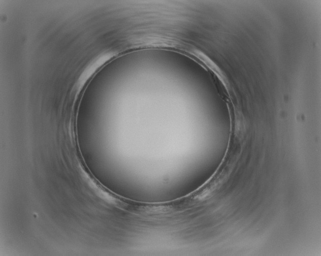 X0000076251293200610122156