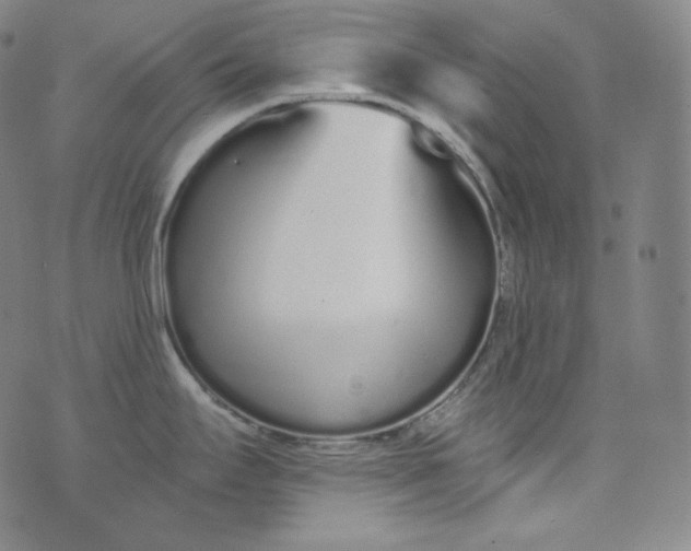 X0000076251295200610122156