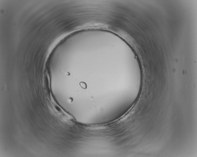 X0000076251296200610122156